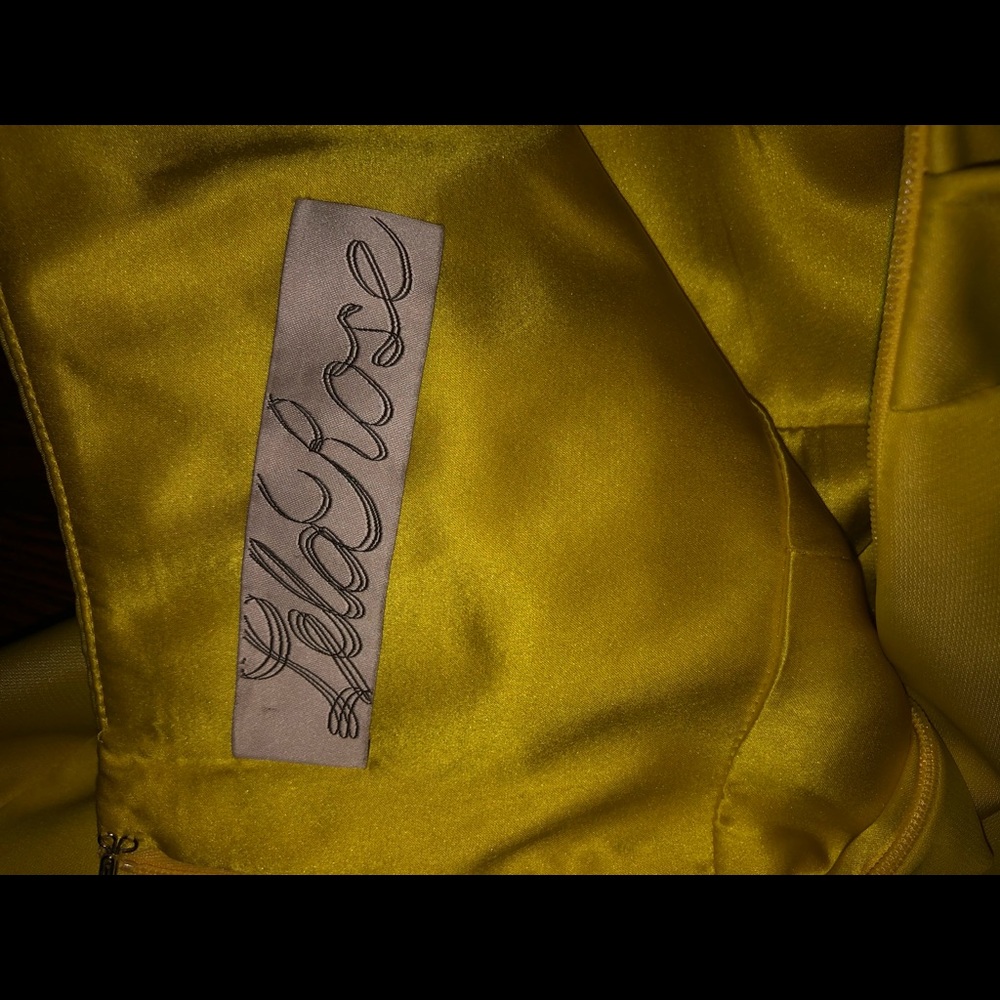 LELA ROSE Breathtaking Gold/Yellow  Dress - Picture 3 of 10